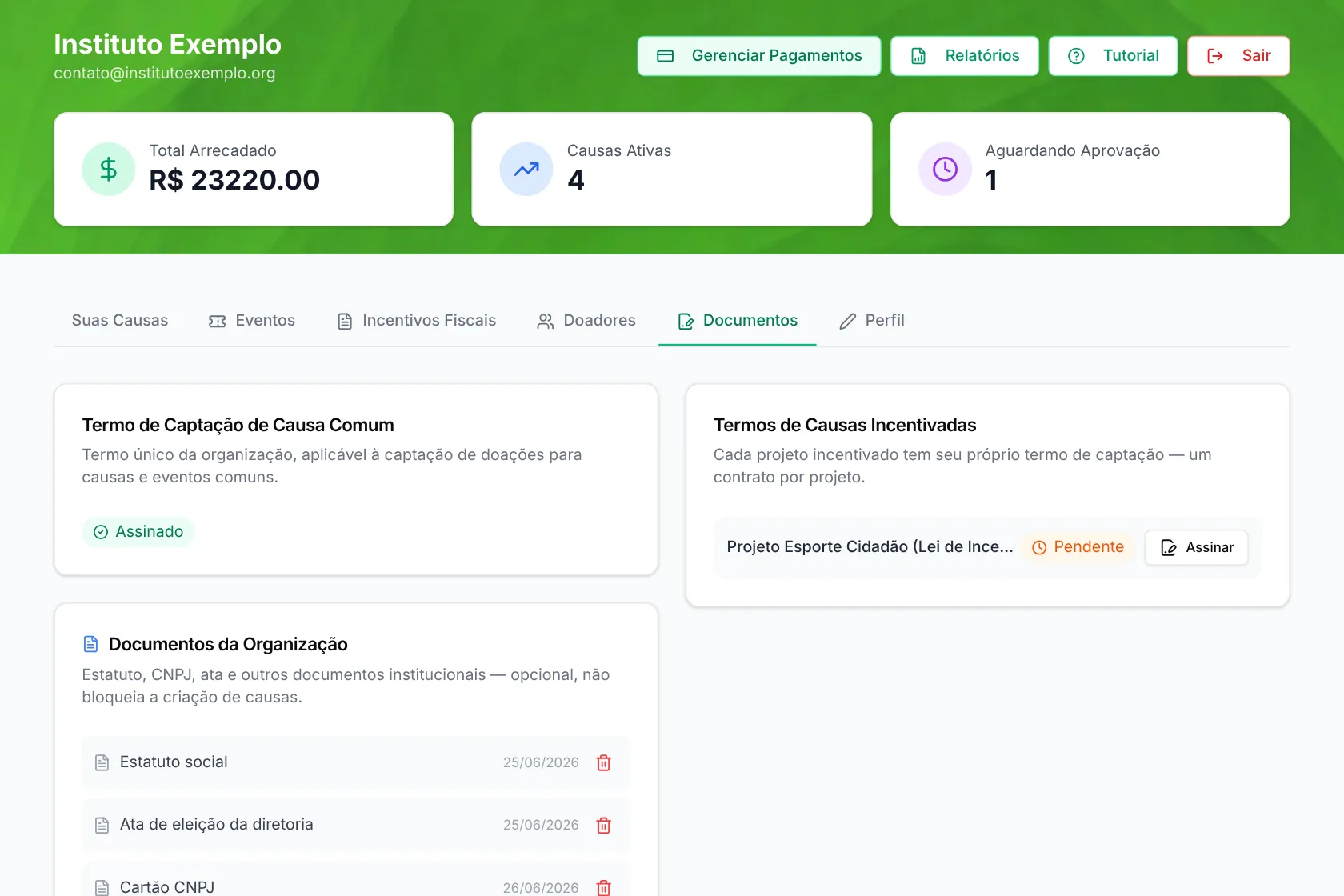 Painel da ONG: aba Documentos