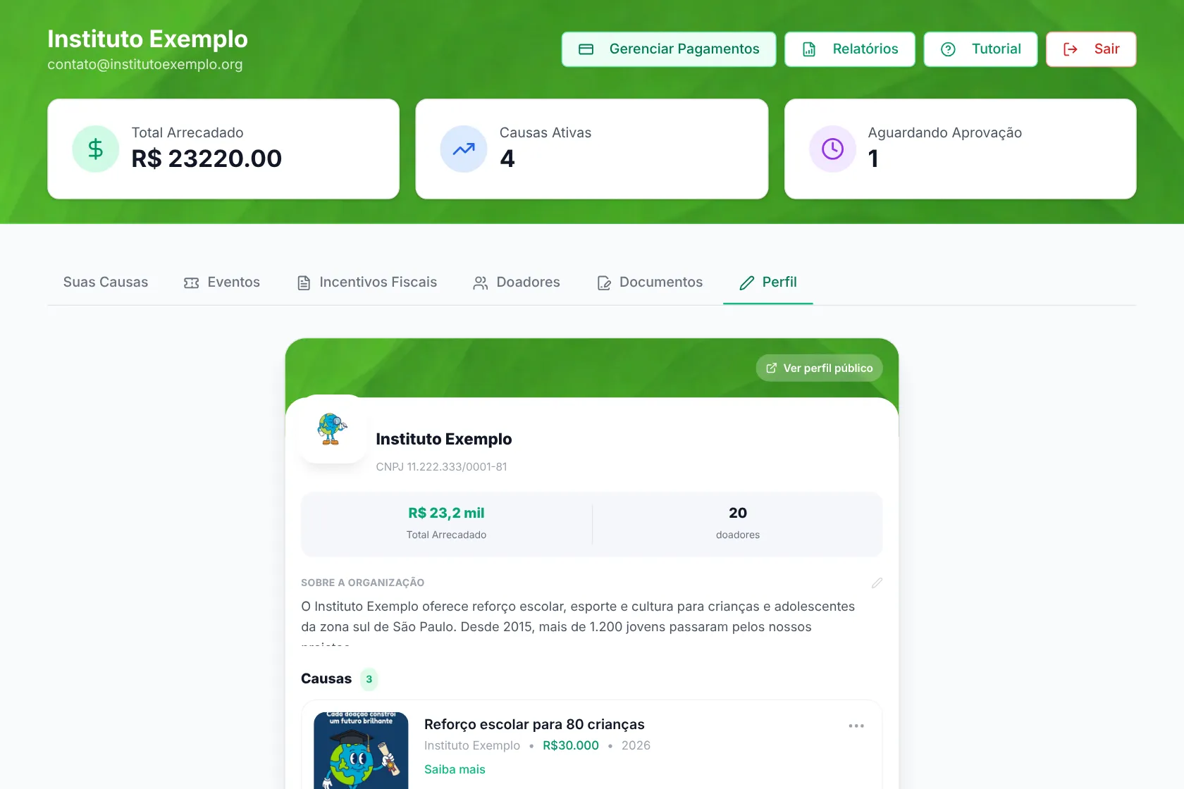 Painel da ONG: aba Perfil